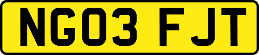 NG03FJT
