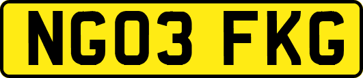 NG03FKG