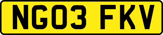 NG03FKV