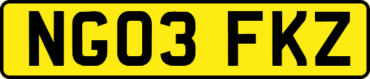 NG03FKZ