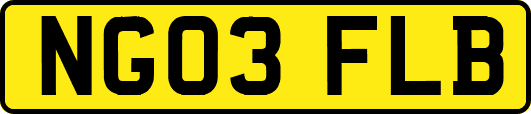 NG03FLB