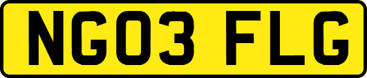 NG03FLG