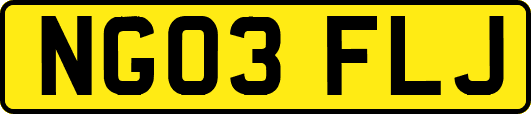 NG03FLJ