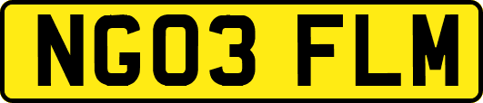 NG03FLM