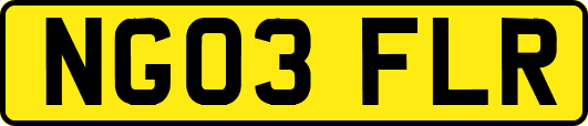 NG03FLR