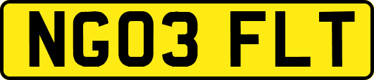 NG03FLT