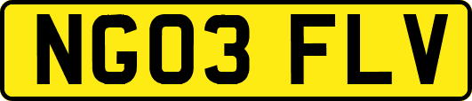 NG03FLV