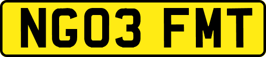 NG03FMT