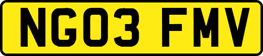 NG03FMV