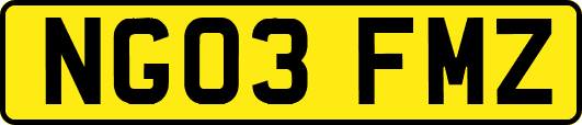 NG03FMZ