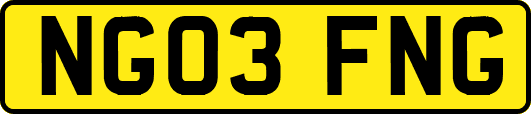 NG03FNG