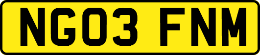 NG03FNM