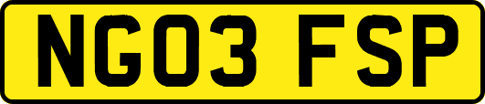 NG03FSP