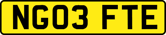 NG03FTE