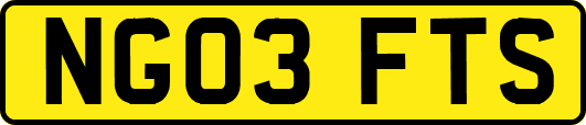 NG03FTS