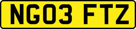 NG03FTZ