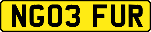 NG03FUR