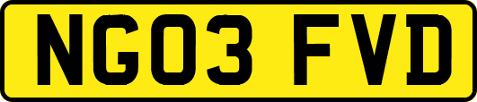 NG03FVD