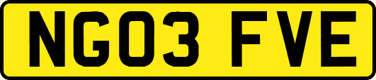 NG03FVE
