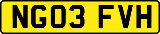 NG03FVH