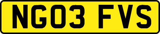 NG03FVS