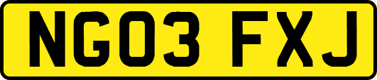NG03FXJ