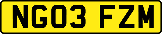 NG03FZM