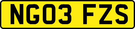 NG03FZS
