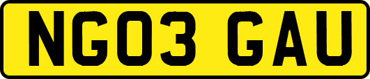 NG03GAU