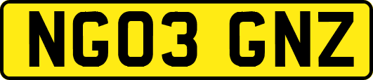 NG03GNZ