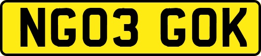 NG03GOK