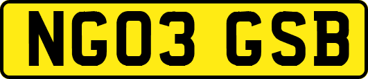 NG03GSB