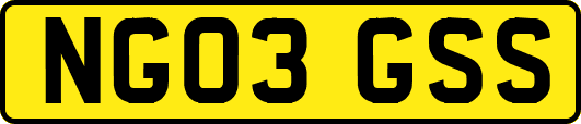NG03GSS