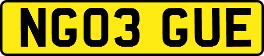 NG03GUE