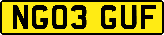 NG03GUF