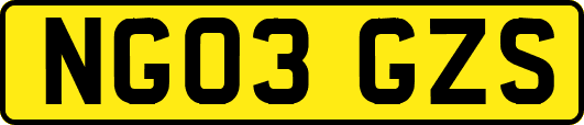 NG03GZS