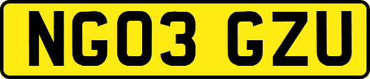 NG03GZU