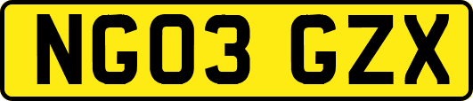 NG03GZX