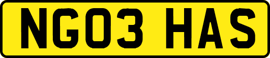 NG03HAS