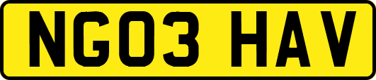 NG03HAV