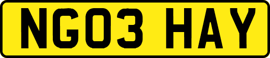 NG03HAY
