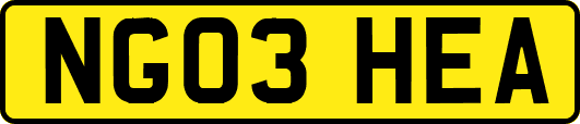 NG03HEA