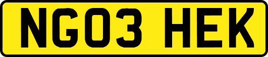 NG03HEK