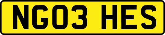 NG03HES