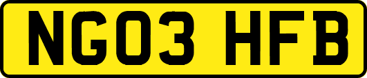 NG03HFB