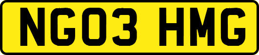 NG03HMG