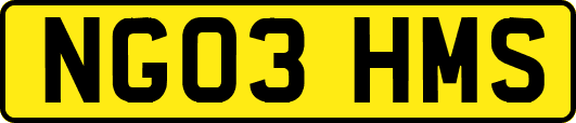NG03HMS