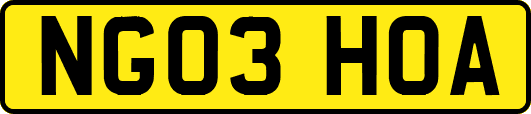 NG03HOA