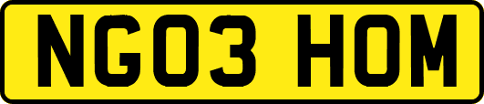 NG03HOM