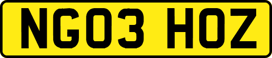 NG03HOZ